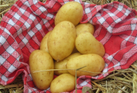 Pomme de terre - gourmandine