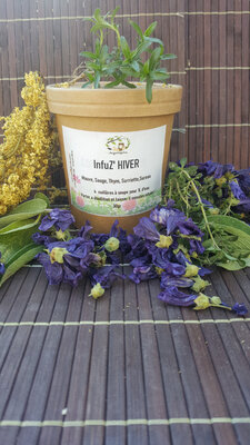 Tisane ' infuz hiver '