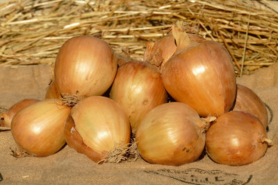 Oignons jaunes 10kg