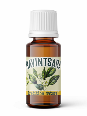 Ravintsara - huile essentielle ecocertifiable