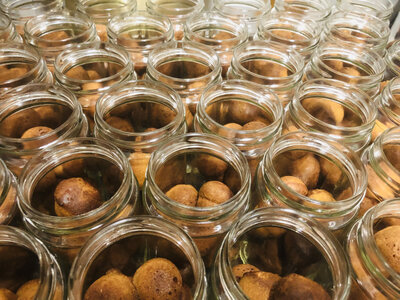 Babas au rhum