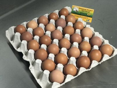 Oeufs x30 bio petit calibre