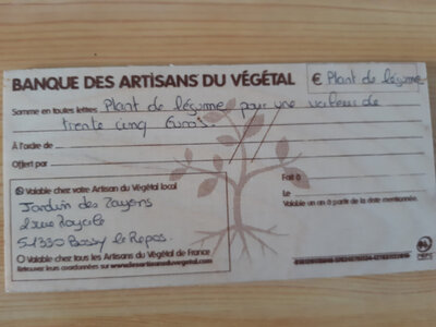 Bon cadeau plant de légume aux choix