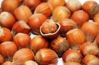 Noisettes de gironde en filet d'1kg