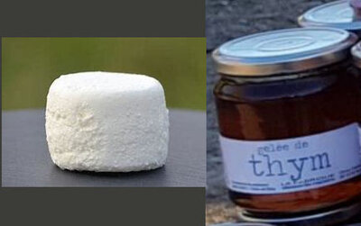 2 crottins + gelée thym