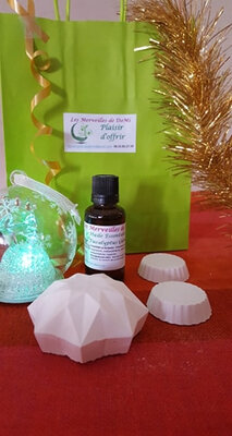 Colis diffuseur he eucalyptus bio
