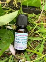 Huile essentielle eucalyptus globulus bio