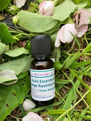 Huile essentielle orange ravintsara bio