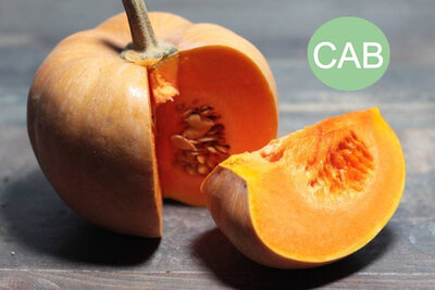 Courge carat bio