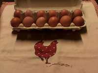 Les oeufs des poul'inoches