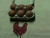 Les oeufs des poul'inoches