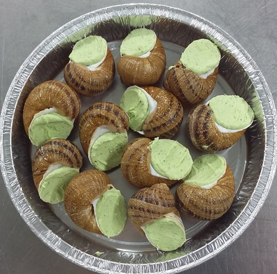 Escargots bourguignonne coquilles