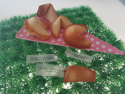 Biscuits du bonheur