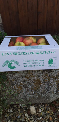 Pommes en mélange 3kg