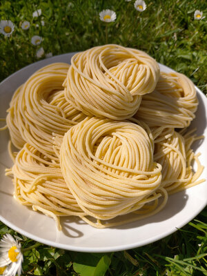 Spaghetti - pâtes fraîches