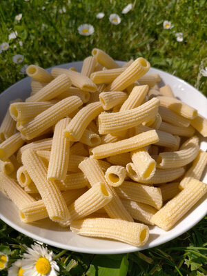 Penne - pâtes fraîches