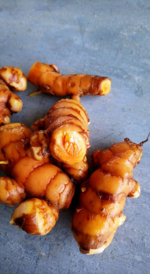 Curcuma frais