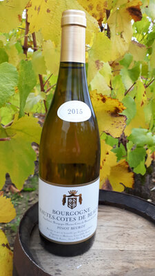 Hautes côtes beaune pinot beurot 2017