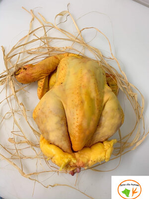 Chapon de poulet