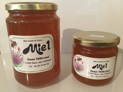Miel toutes fleurs
