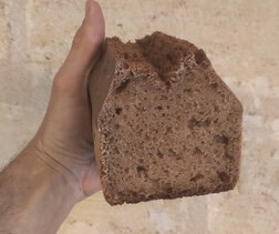 Le petit épeautre
