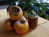 Crème de kaki à la cardamome