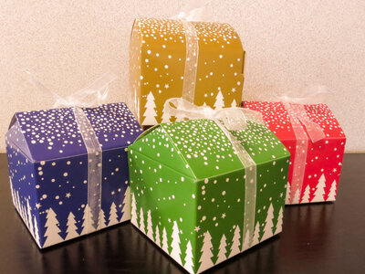 Chalet de noël