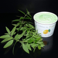 Crème glacée verveine fraîche