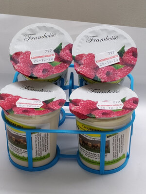 Yaourt biologique framboise