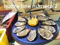 Huitre fine de claire numéro 2