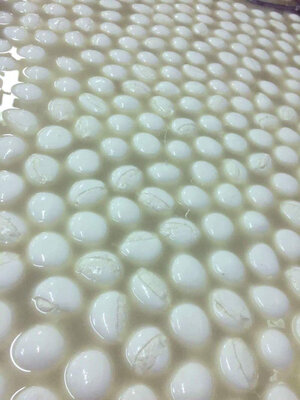 Mozzarella di bufala
