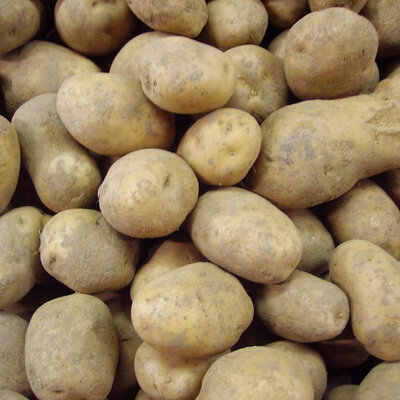 Pommes de terre charlotte