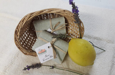 Savon verveine- citron