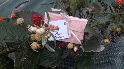 Savon framboise