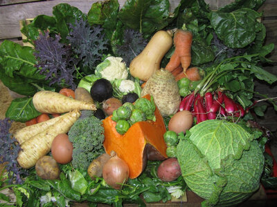 Panier de légumes 2 personnes