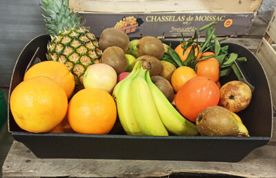 Corbeille de fruits 7.5kg