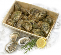 Huitres bio marennes d'oleron 24 n°3