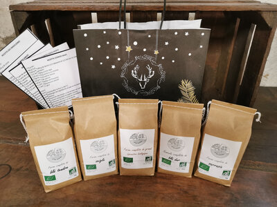 Coffret de noël 5 farines + recettes
