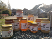 Miel colza aubépine acacia