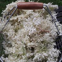 Confit de fleurs de sureau