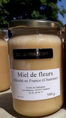 Miel de fleurs de printemps