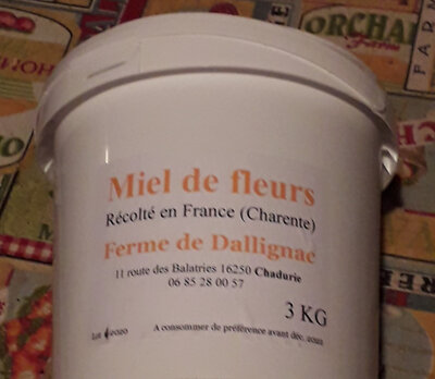 Miel de fleurs de printemps