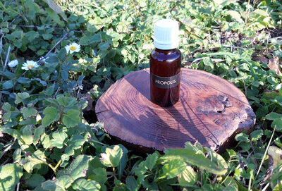 Propolis