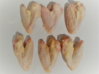 Aile de dinde noire fermière