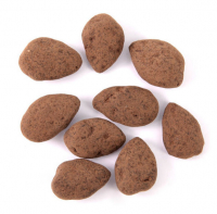 Amande choco-lait fleur de sel