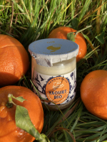 Yaourt étuvé sur lit d'orange-clémen