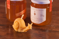 Bougie escargot de bourgogne