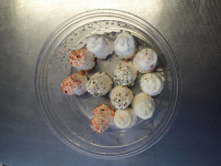 Bouchons de fromage de chèvres aromatisés