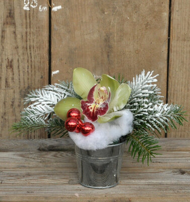 Compo 1 fleuron cymbidium