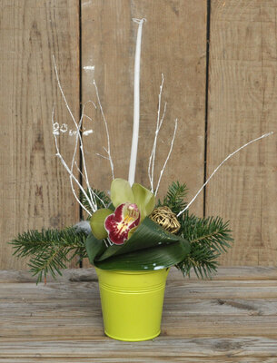 Compo 1 fleuron cymbidium + bougie